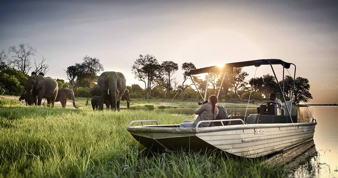 Sanctuary Chobe Chilwero – Bild 2