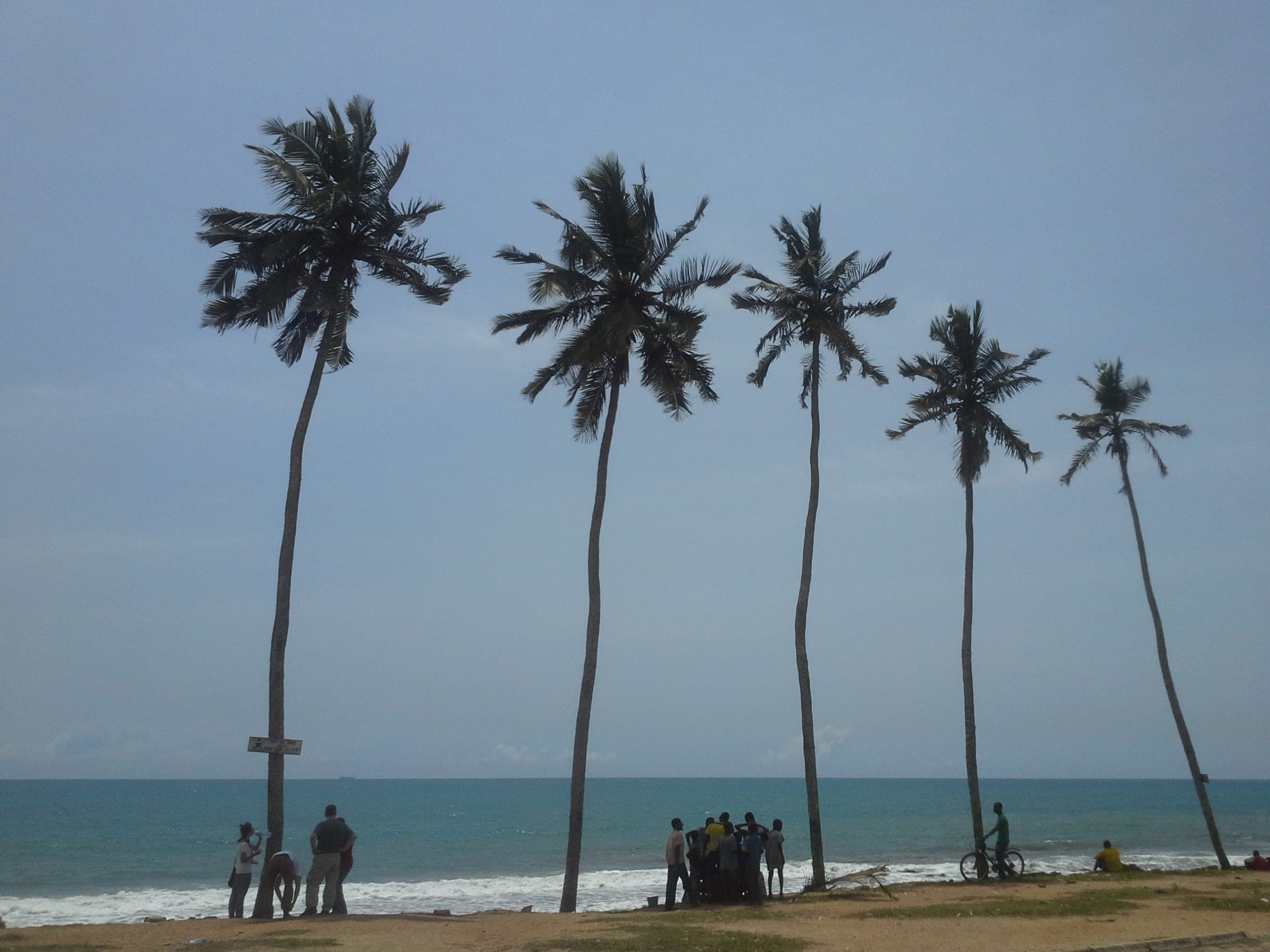 Coconut Grove Beach Resort – Bild 6