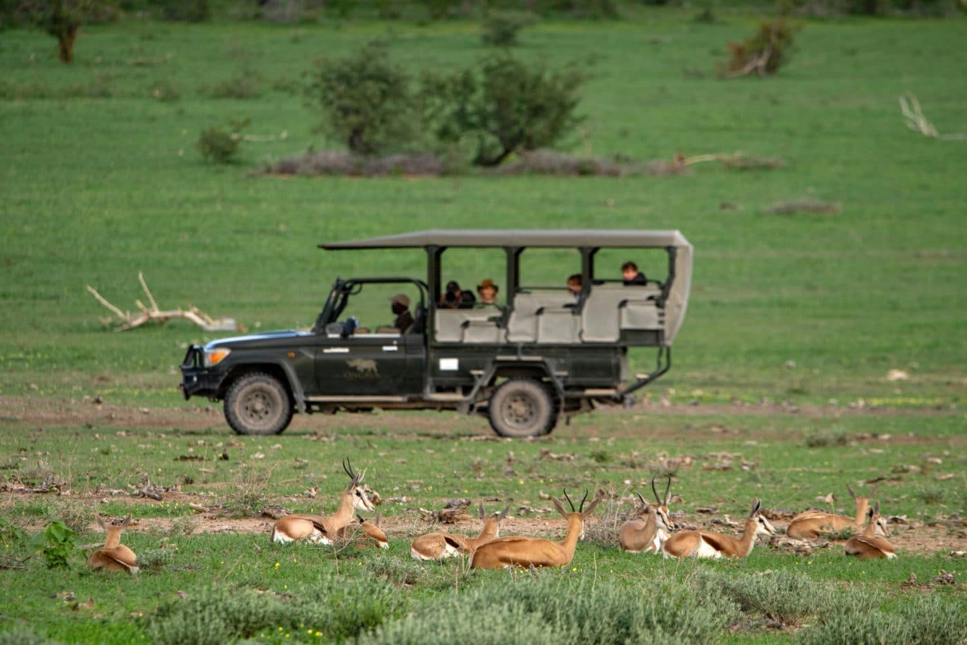 Ongava Lodge – Bild 3