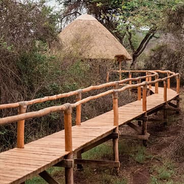 Ruzizi Tented Lodge – Bild 10