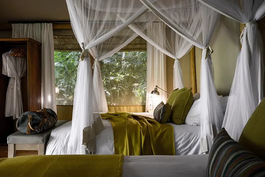 Gorilla Forest Lodge, an A&K Sanctuary – Bild 1