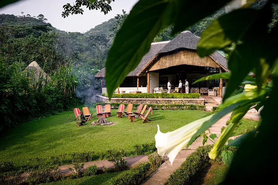 Gorilla Forest Lodge, an A&K Sanctuary – Bild 5