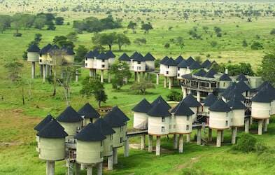 Sarova Salt Lick Game Lodge – Bild 1