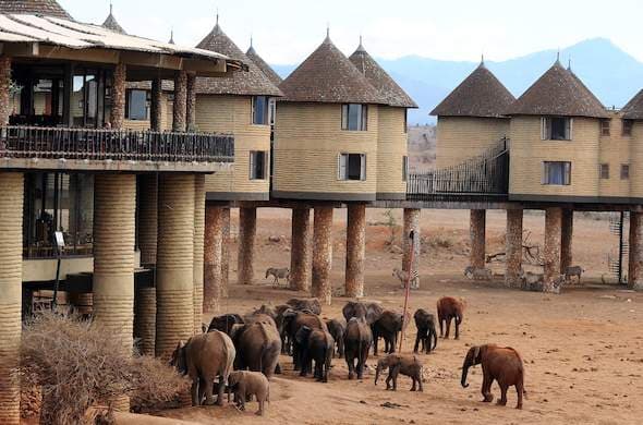 Sarova Salt Lick Game Lodge – Bild 3