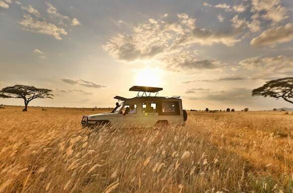 Sarova Salt Lick Game Lodge – Bild 10