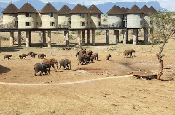 Sarova Salt Lick Game Lodge – Bild 2