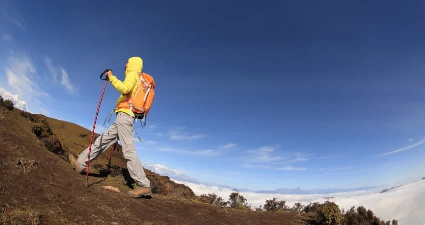 Einzelner Wanderer mit Trekkingstöcken und Rucksack oberhalb der Wolken am Kilimandscharo