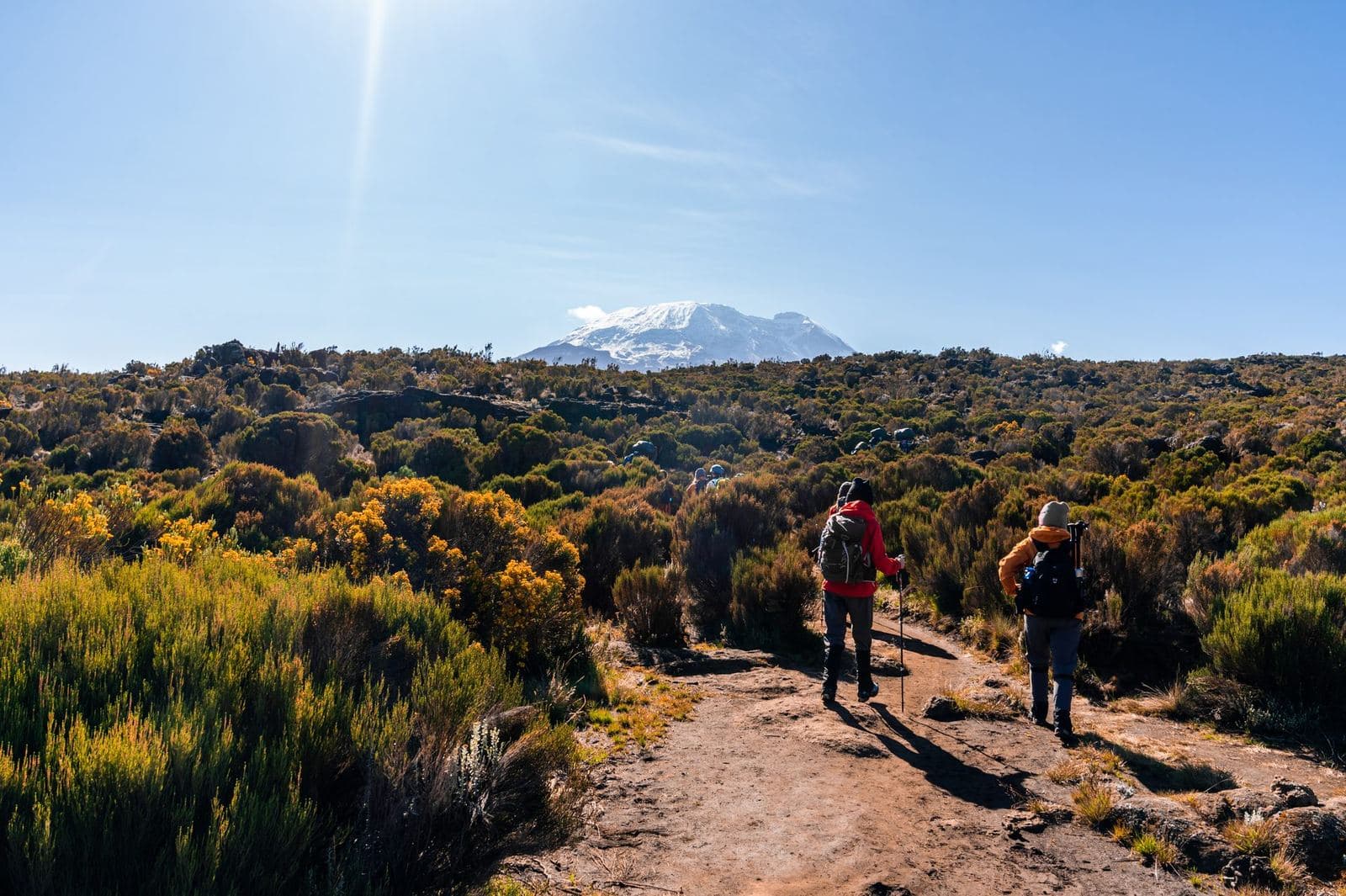 Zwei Wanderer mit Rucksäcken und Trekkingstöcken auf dem Weg zum schneebedeckten Kilimandscharo