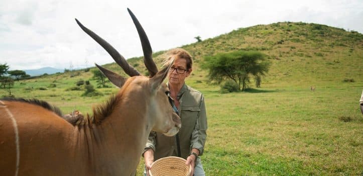 Alleinreisende Frau bei einer entspannten Wildtierbegegnung in der tansanischen Savanne