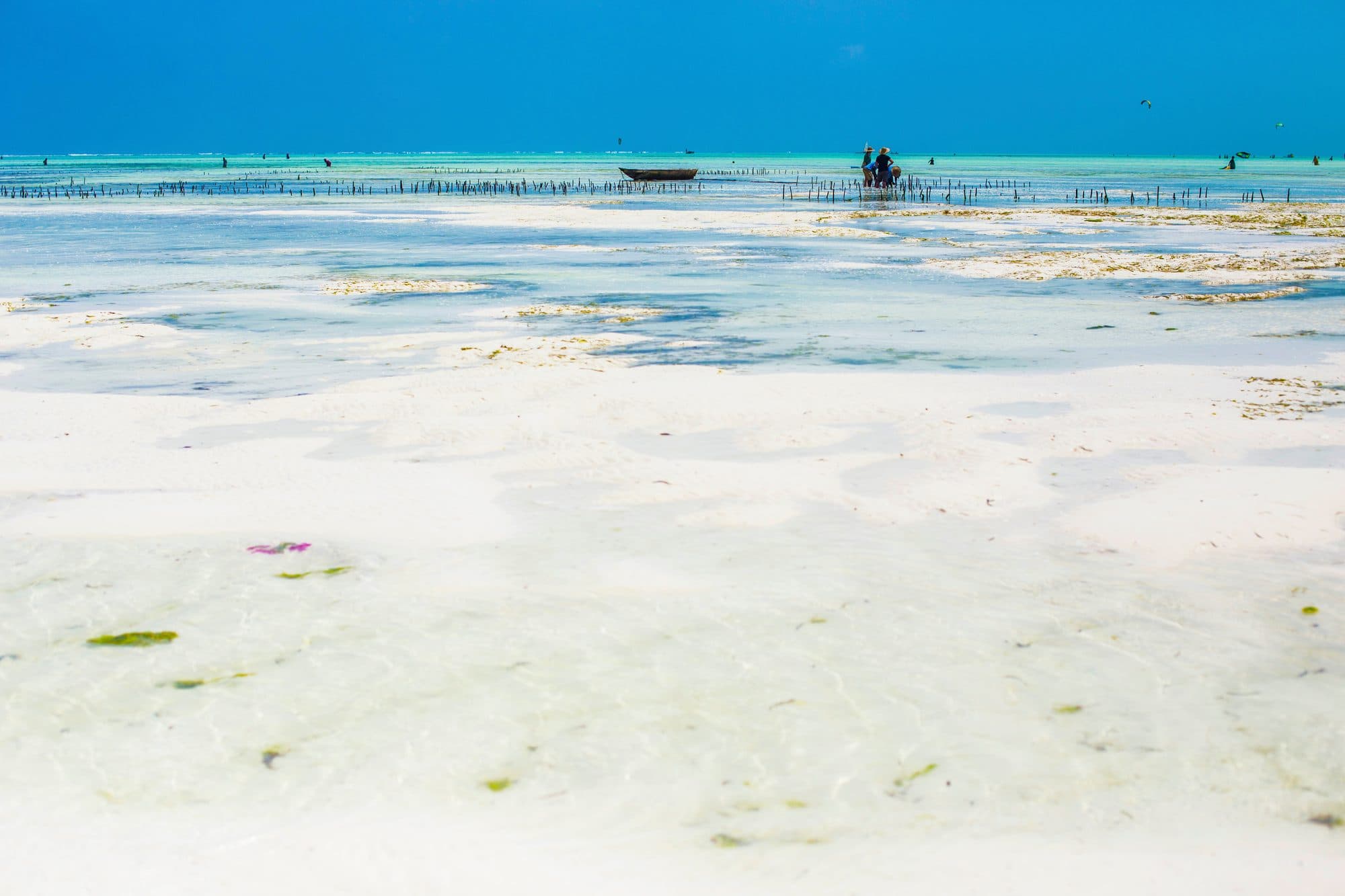 Weites Riff bei Ebbe vor Paje, Sansibar, mit Fischerboot und Kitesurfern am Horizont