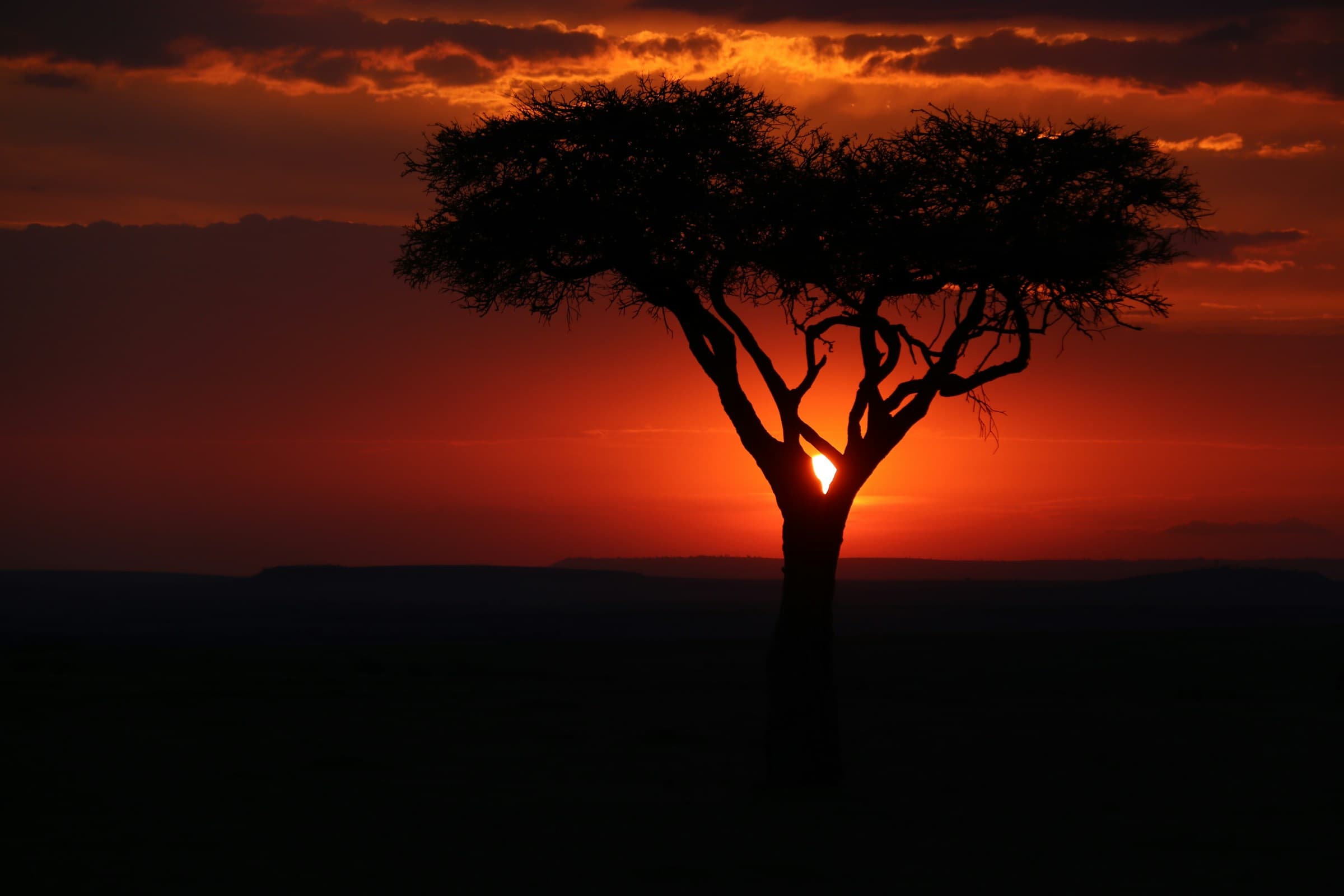Goldener Sonnenuntergang über der Savanne der Serengeti während der Festtage in Tansania
