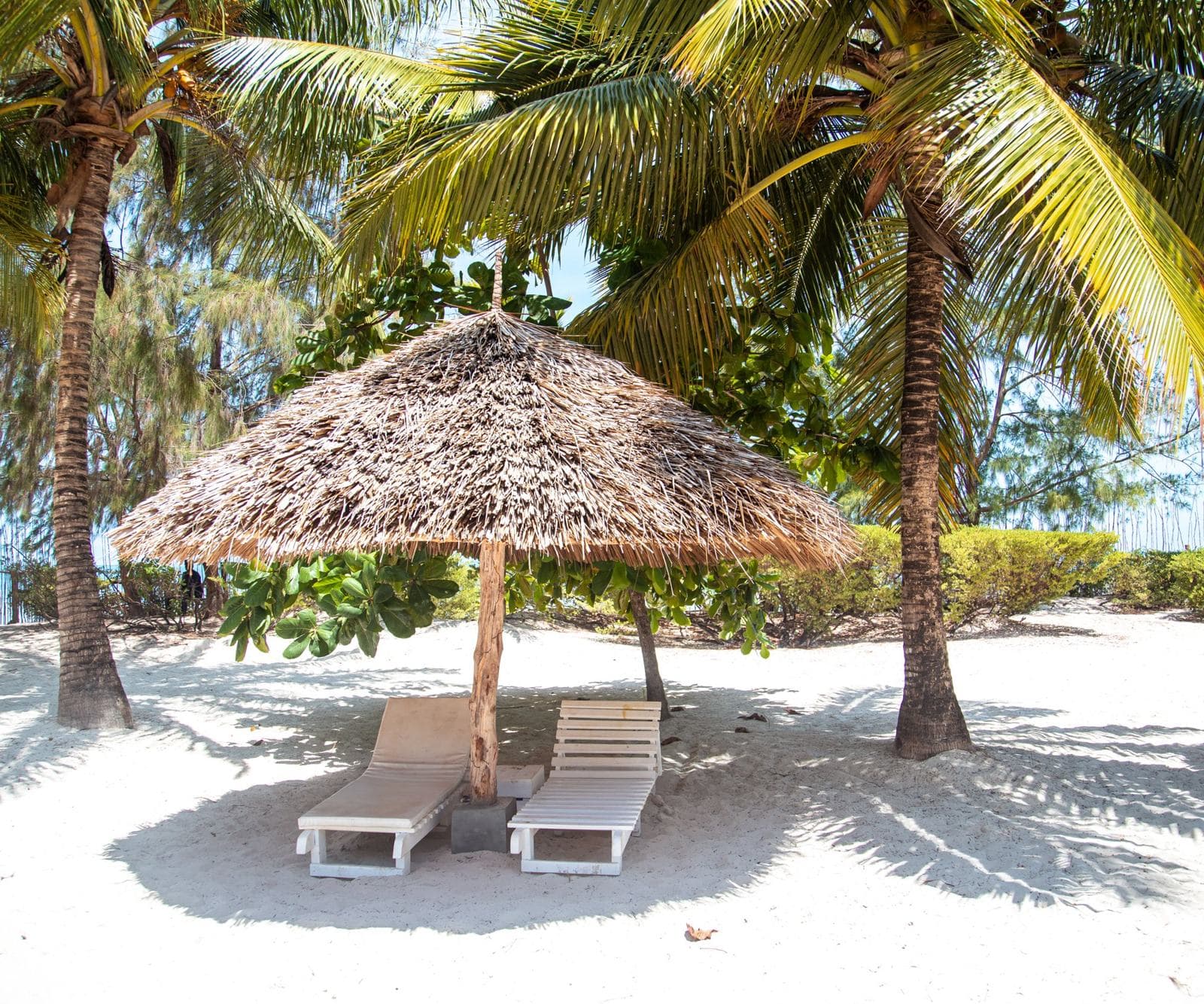 Liegestühle unter einem Strohschirm zwischen Palmen am Sansibar-Strand