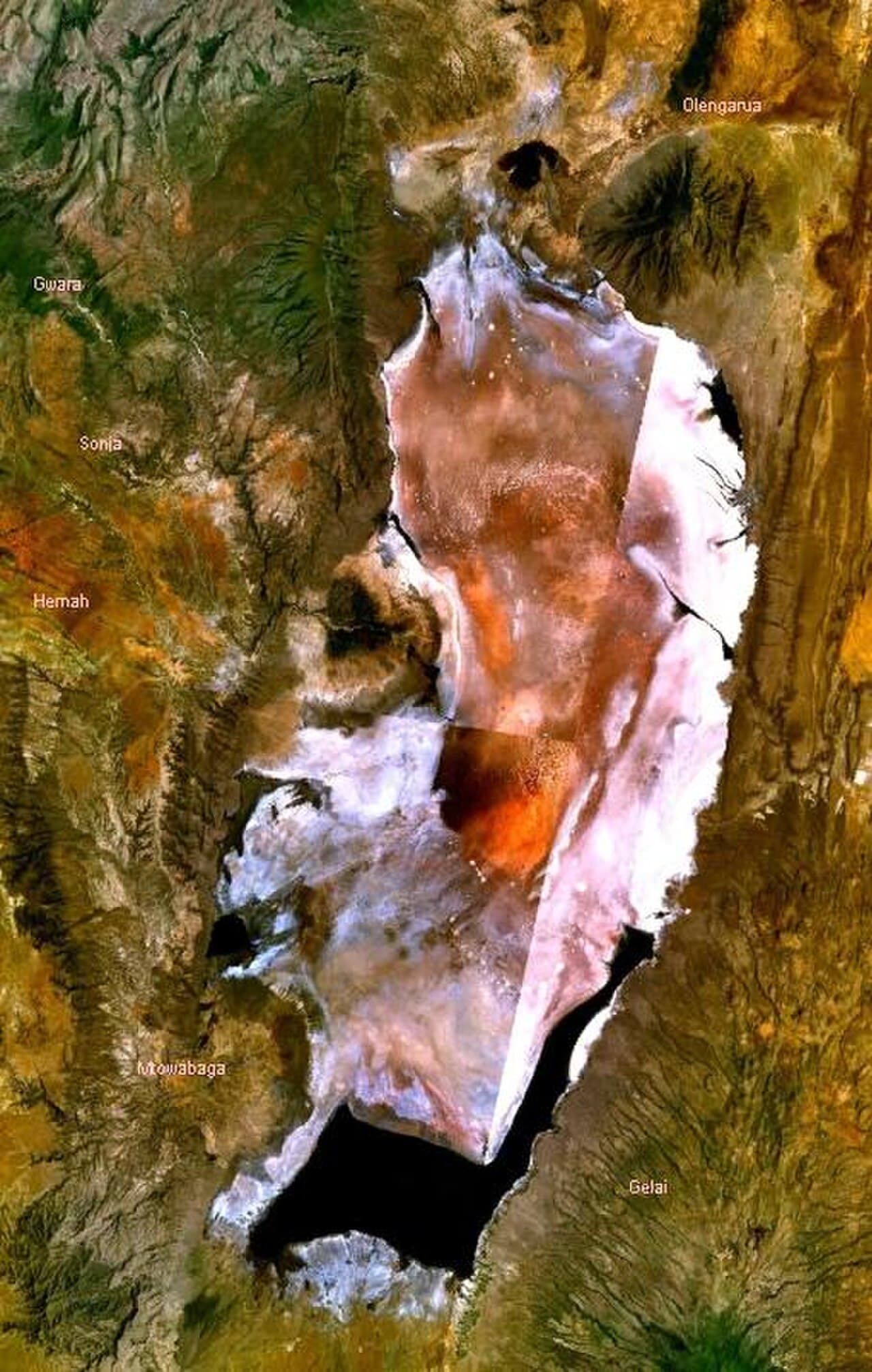 Lake Natron mit rotem Wasser und Flamingos in Tansania