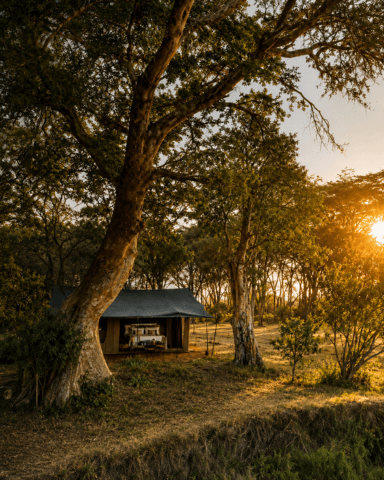 Luxus Safari Lodge in der afrikanischen Wildnis