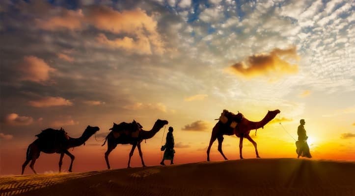 Kamelkarawane bei Sonnenuntergang in der ägyptischen Sahara – westliche Wüste Ägyptens