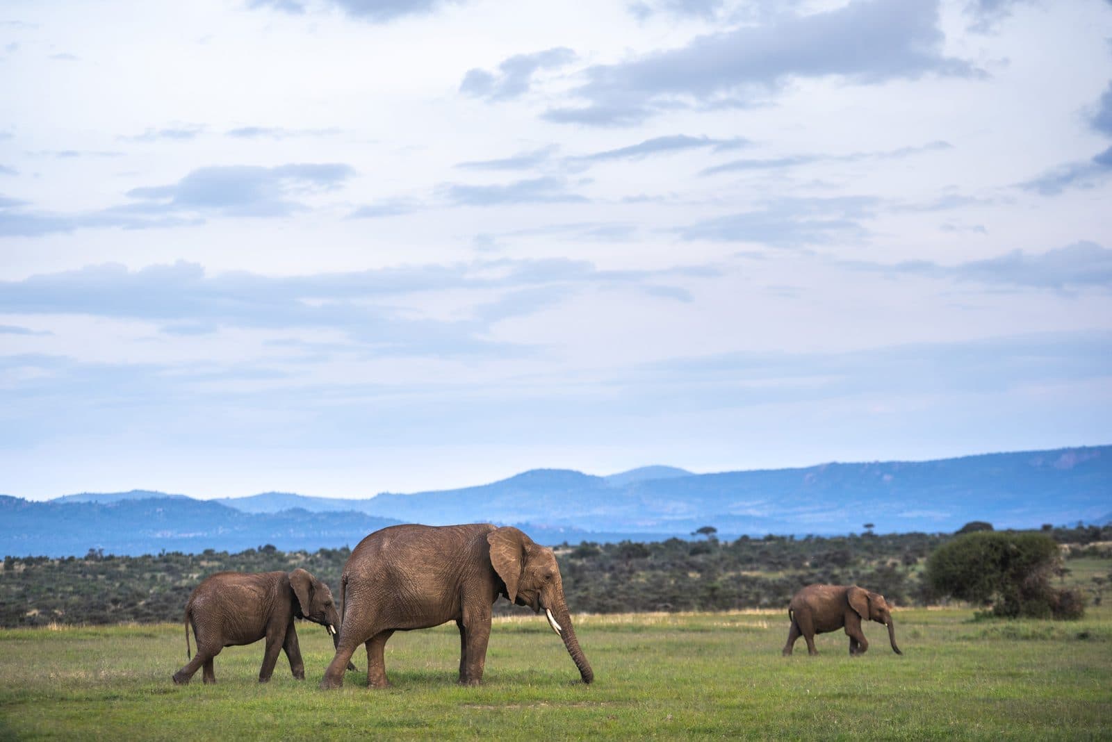 Safari in 3 Nationalparks
