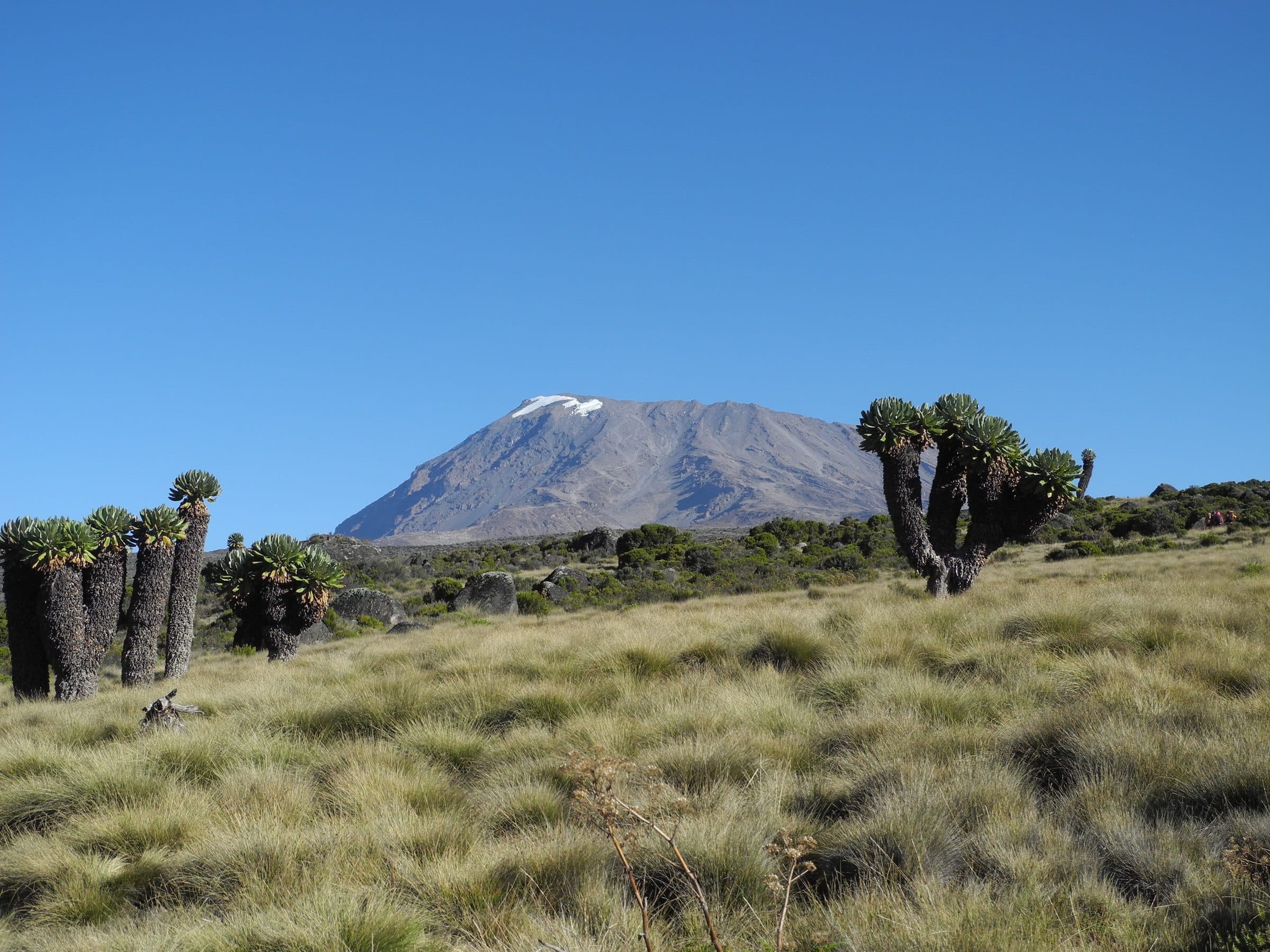 8 Tage Kilimandscharo Marangu Route in Tansania