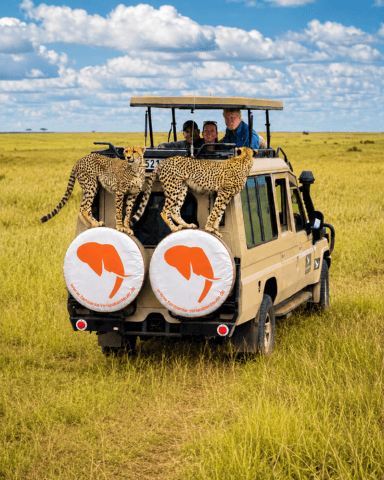 Safari & Sansibar
