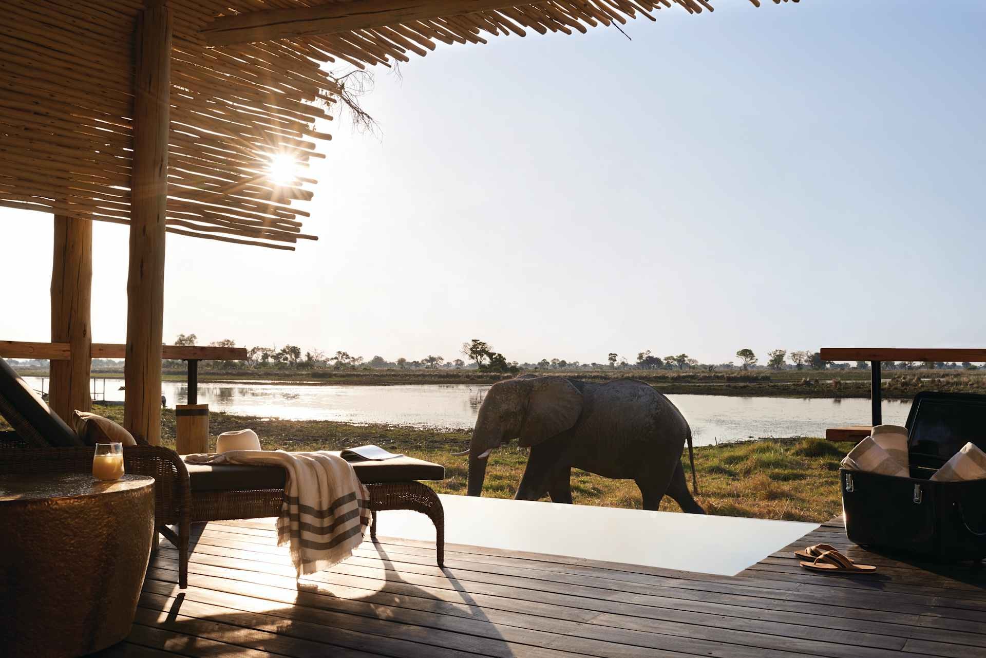 Eagle Island Lodge, A Belmond Safari – Bild 8