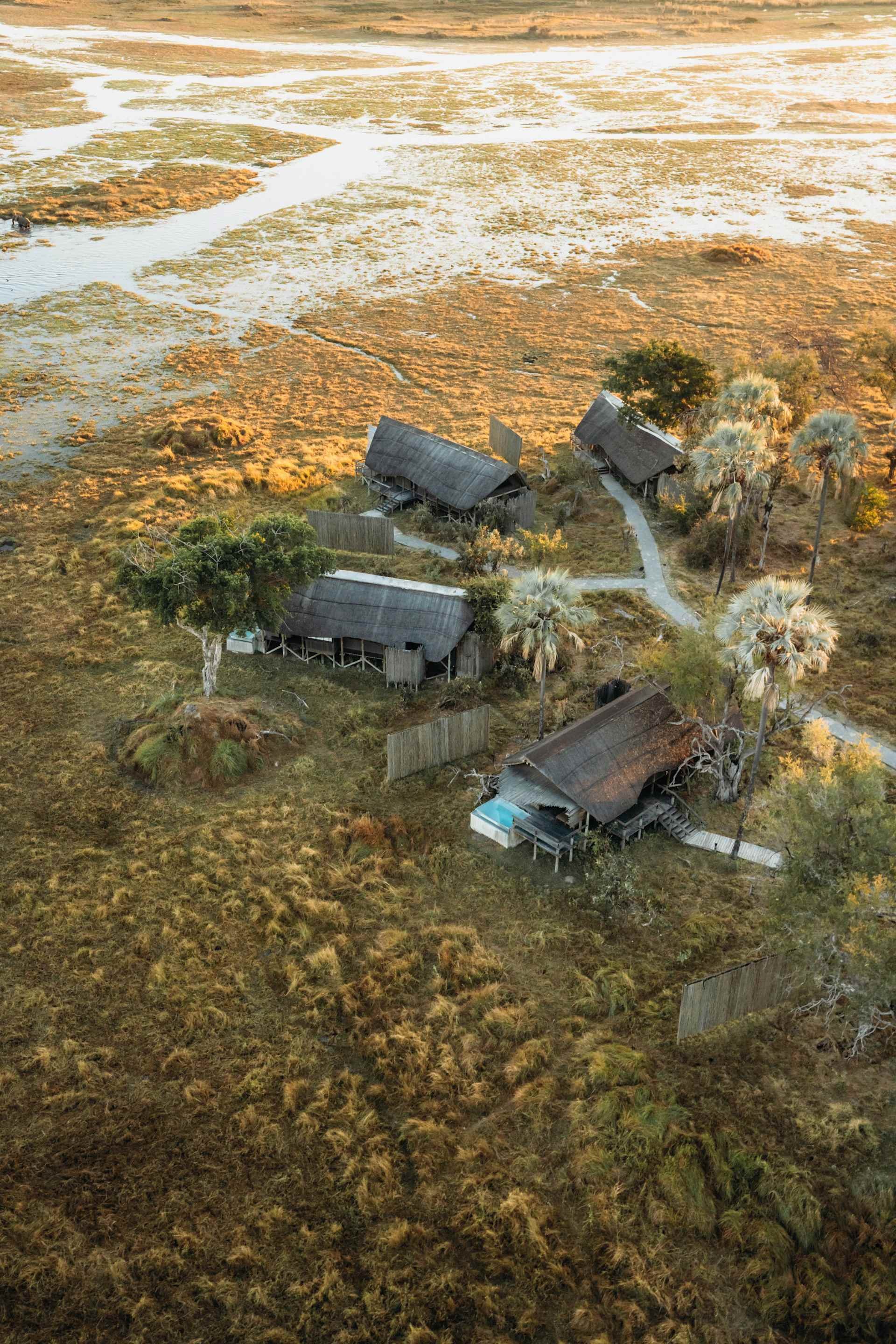 Eagle Island Lodge, A Belmond Safari – Bild 7