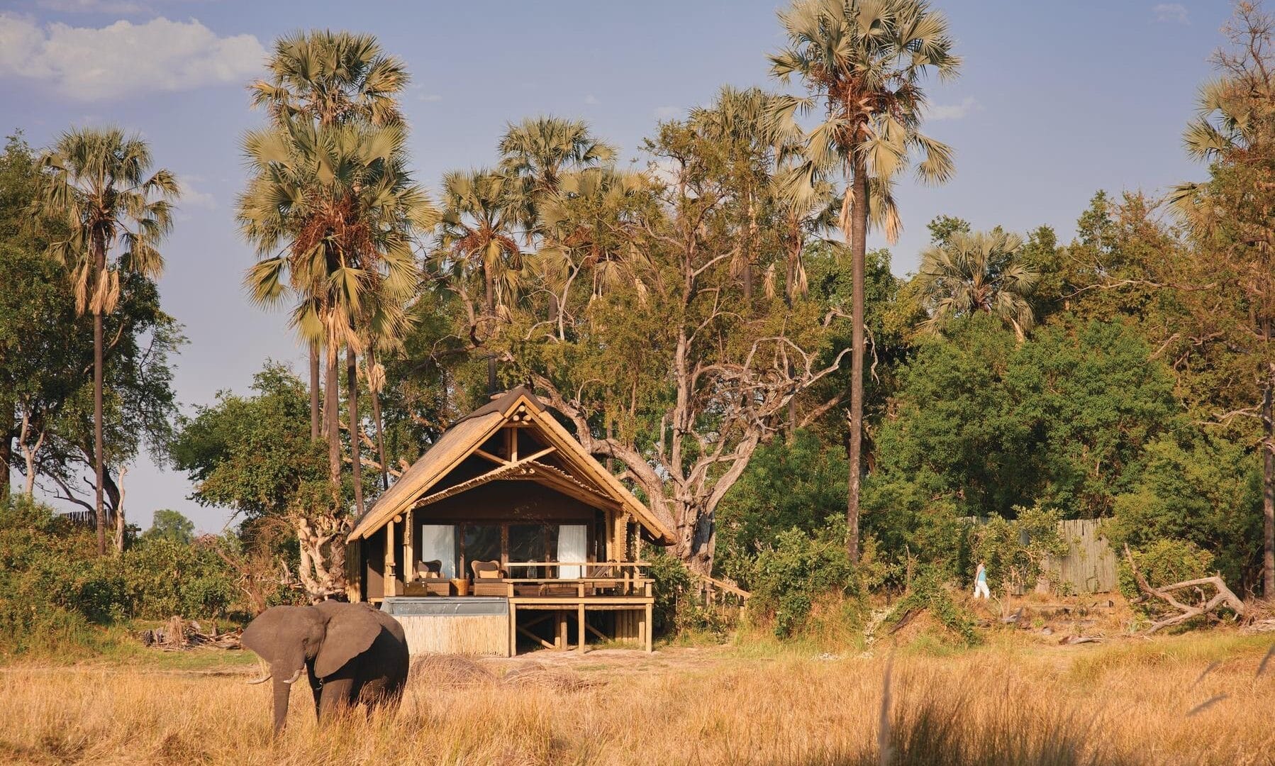 Eagle Island Lodge, A Belmond Safari – Bild 1