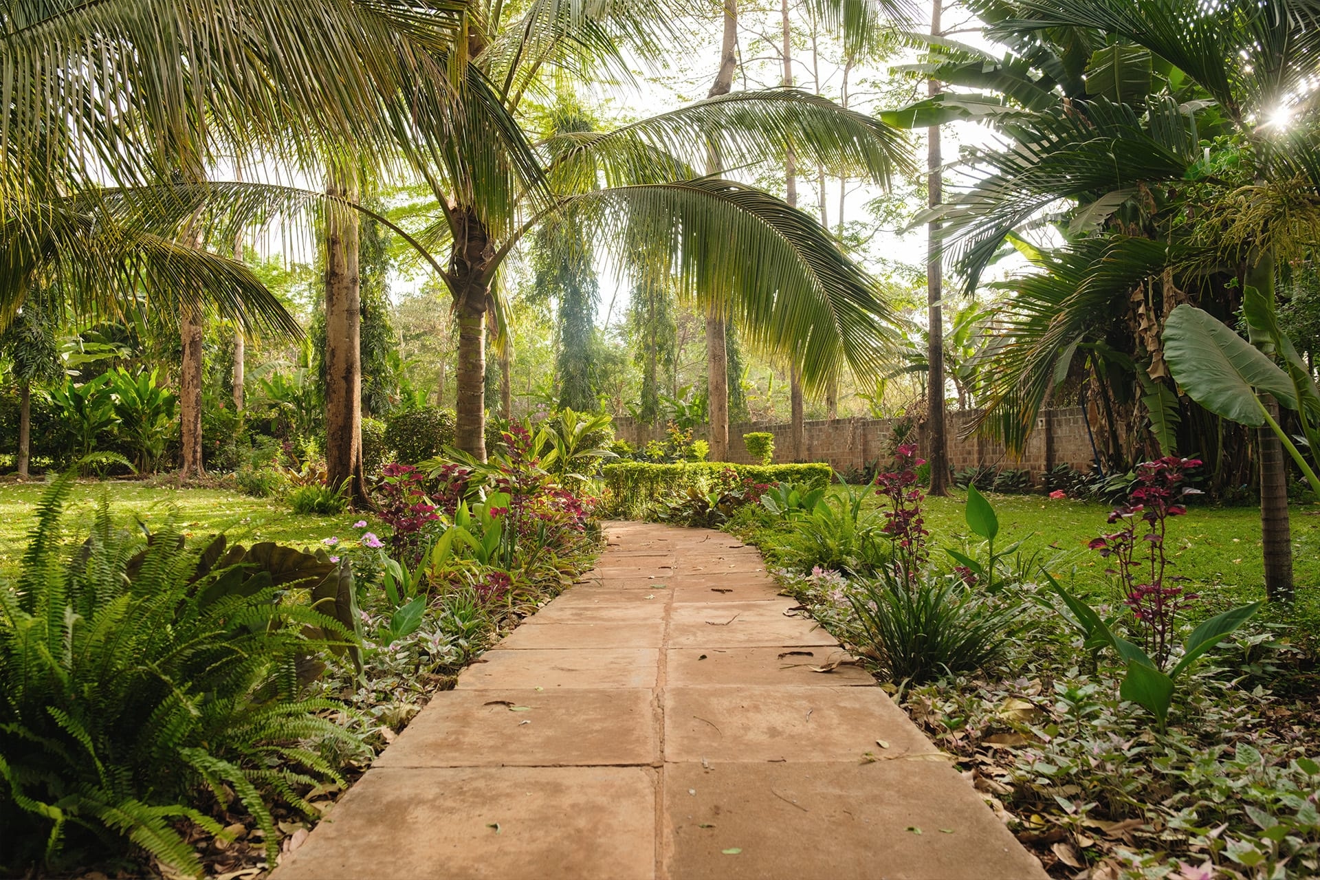 Chanya Lodge – Bild 2