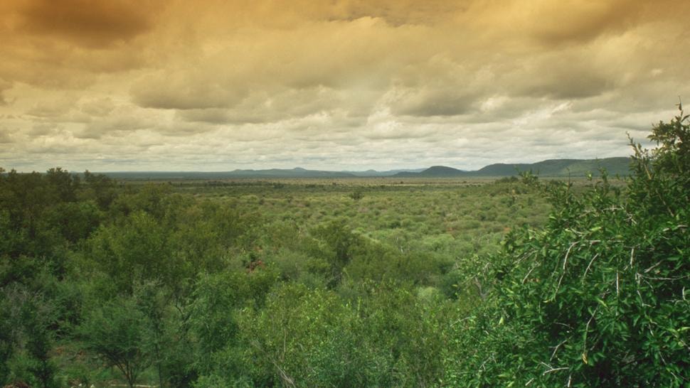 Madikwe Hills Private Game Lodge – Bild 3