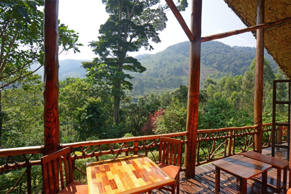 Mahogany Springs Lodge – Bild 5