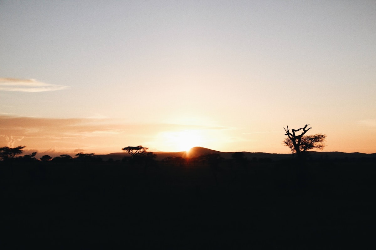 Ngorongoro Coffee Lodge – Bild 4