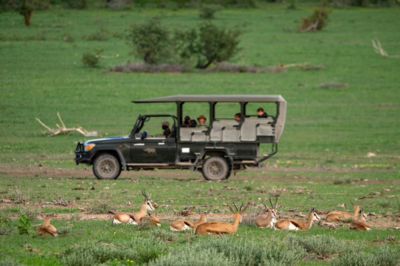 Ongava Lodge – Bild 3