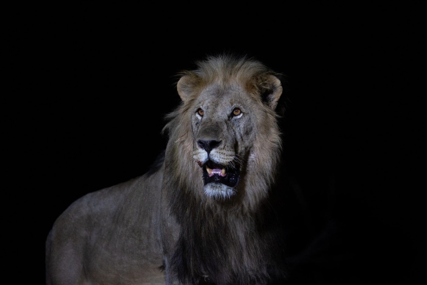 Ongava Lodge – Bild 6