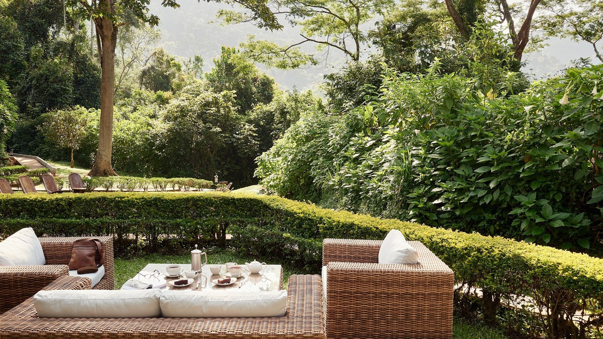 Gorilla Forest Lodge, an A&K Sanctuary – Bild 2