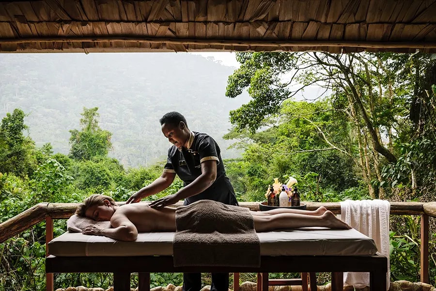 Gorilla Forest Lodge, an A&K Sanctuary – Bild 4
