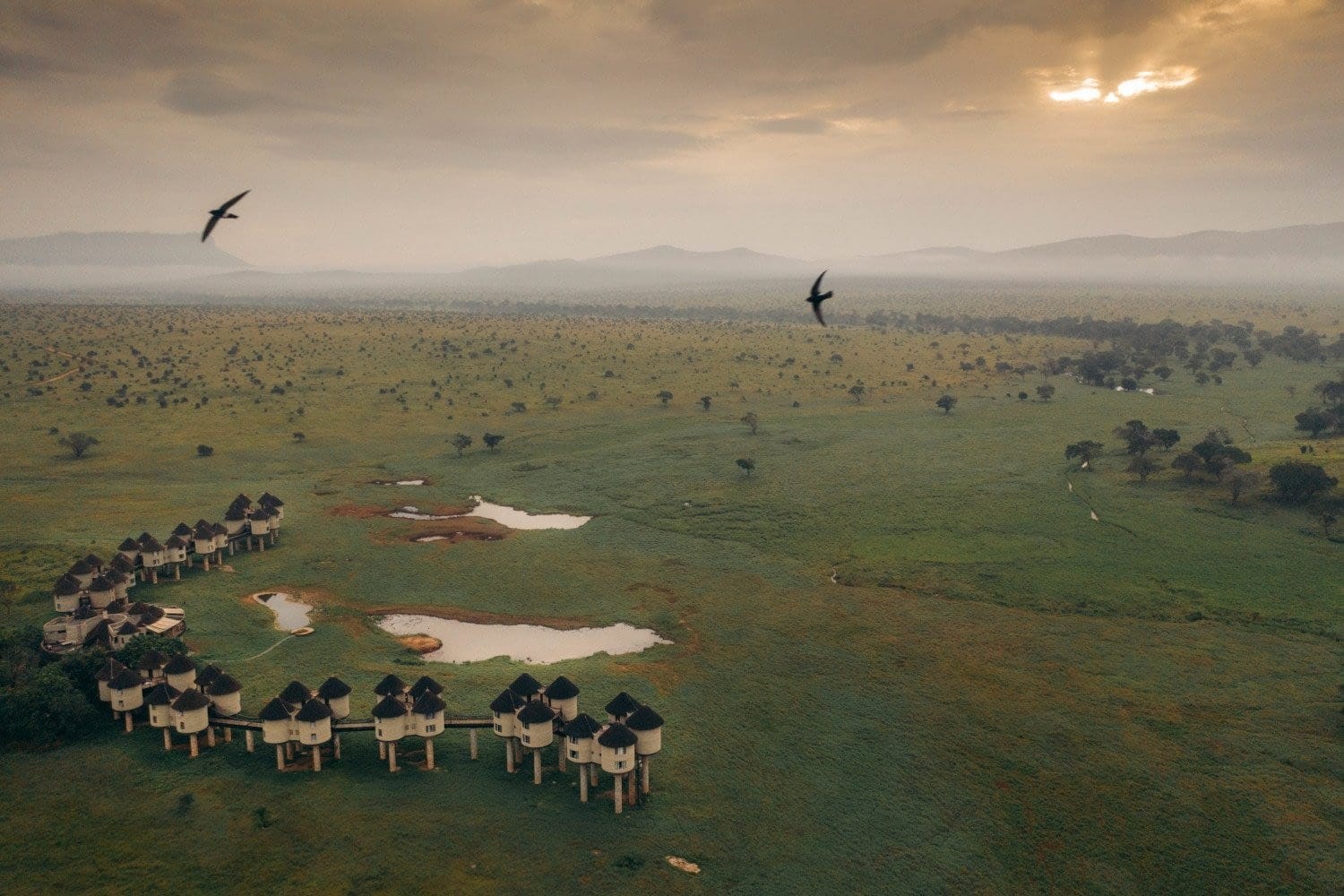 Sarova Salt Lick Game Lodge – Bild 1