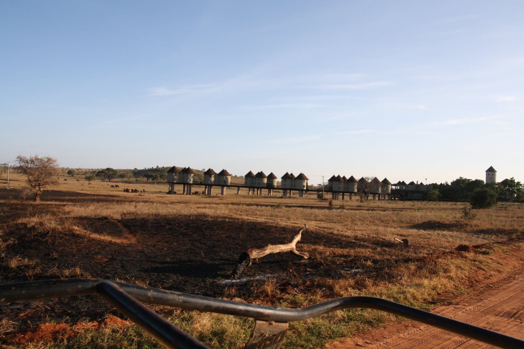 Sarova Salt Lick Game Lodge – Bild 10