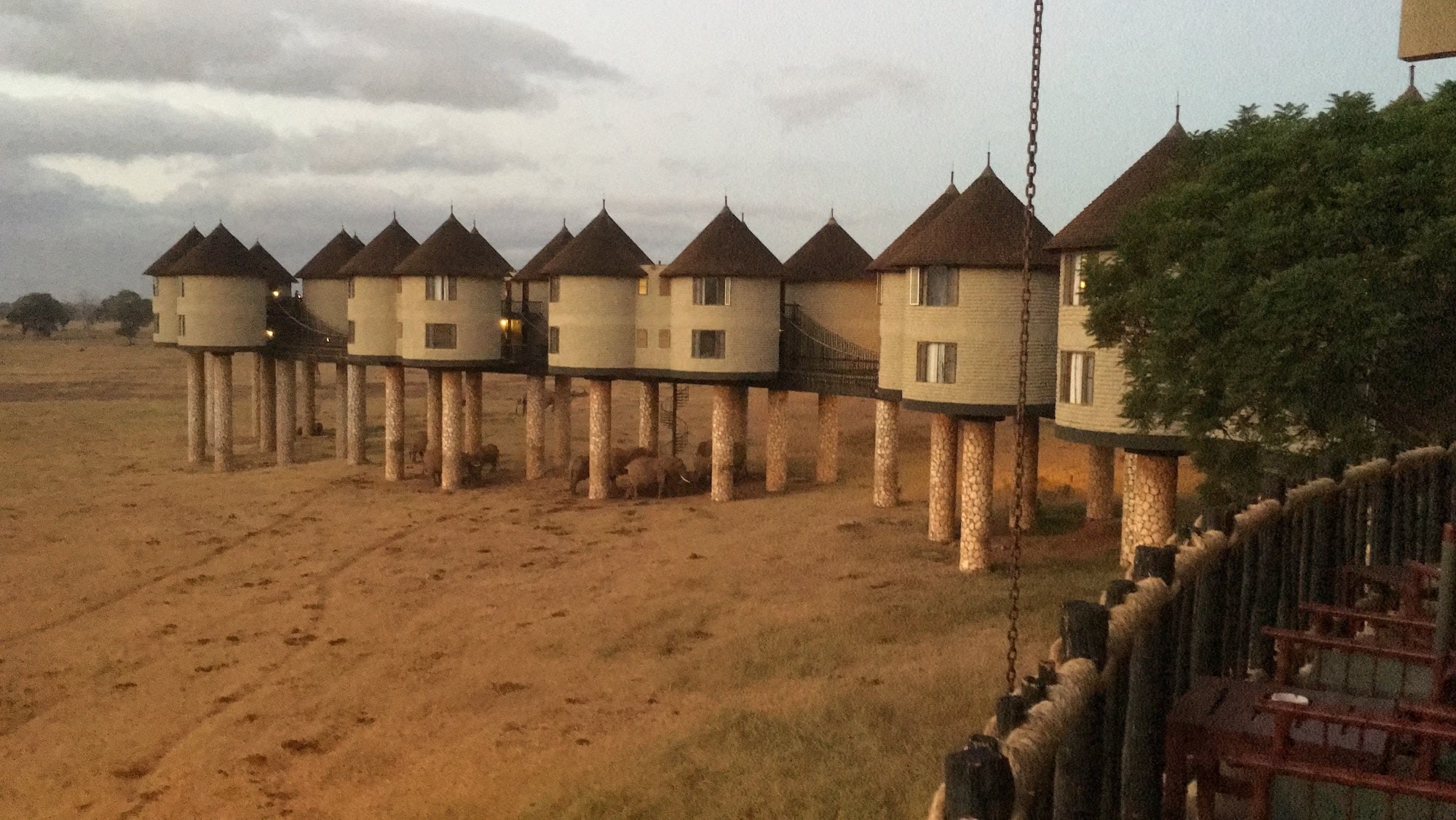 Sarova Salt Lick Game Lodge – Bild 2