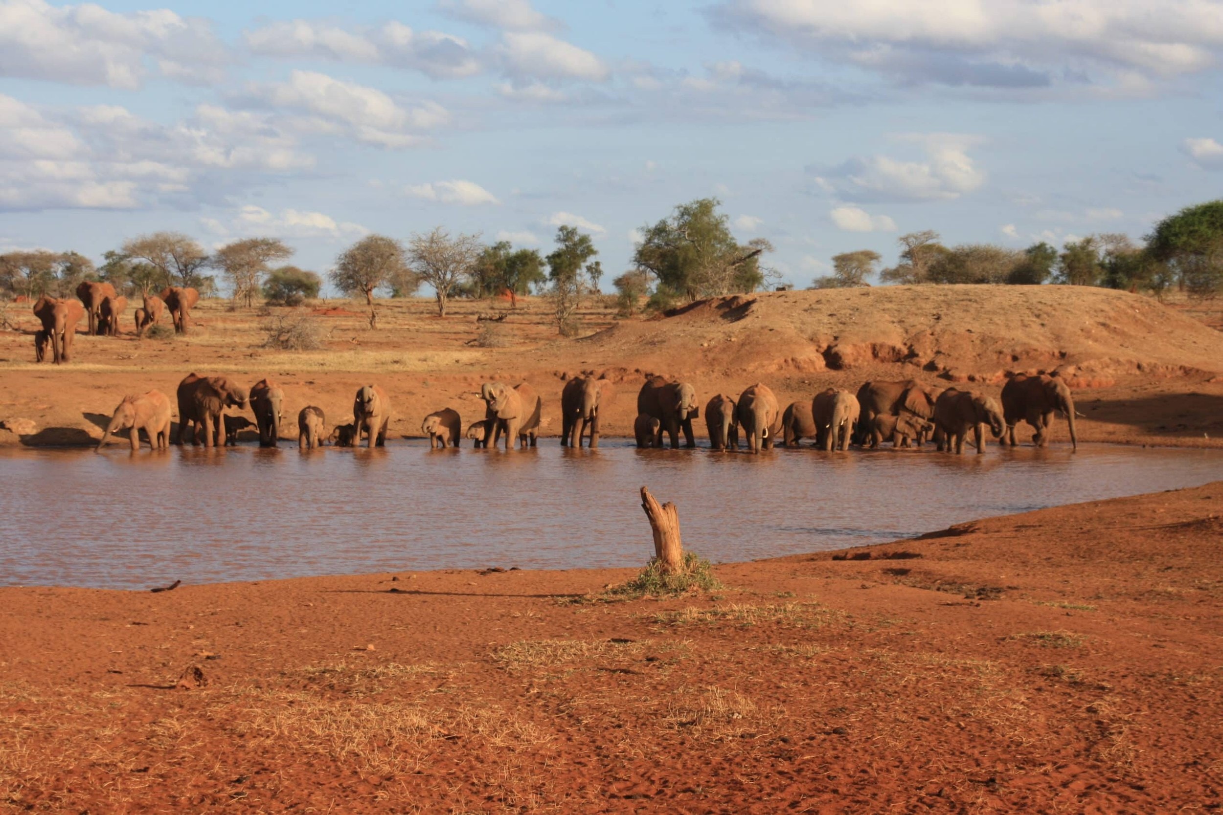 Sarova Salt Lick Game Lodge – Bild 9