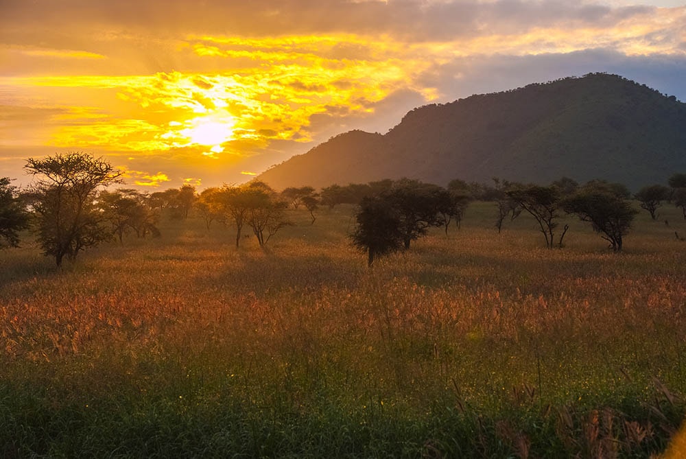 Sueños de África Luxury Camp – Bild 10