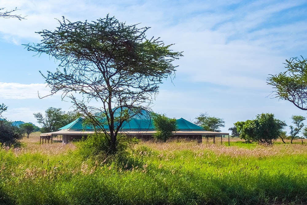 Sueños de África Luxury Camp – Bild 6