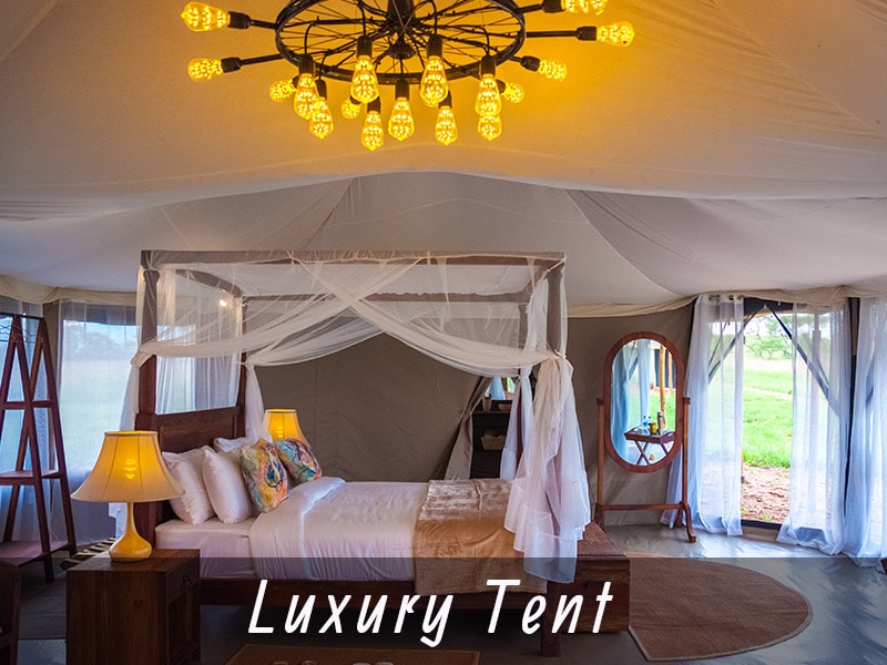 Sueños de África Luxury Camp – Bild 2