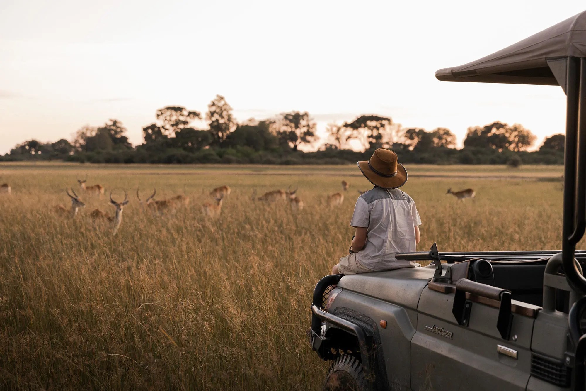 Vumbura Plains Camp – Bild 3
