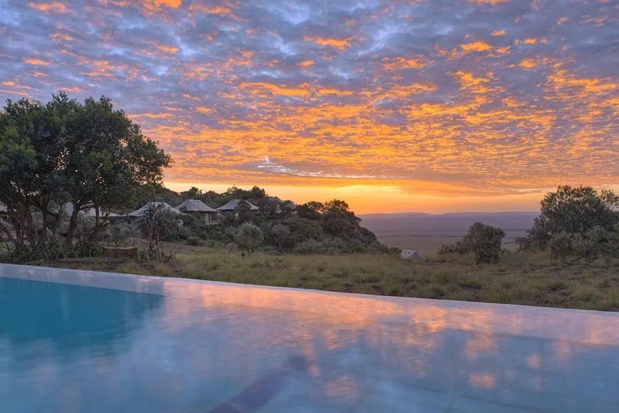Angama Mara – Bild 9