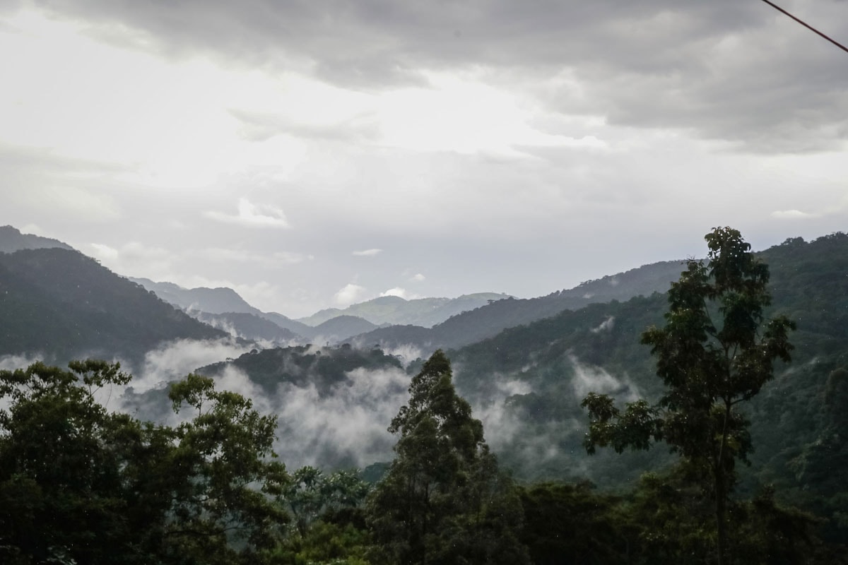Bwindi Lodge – Bild 1