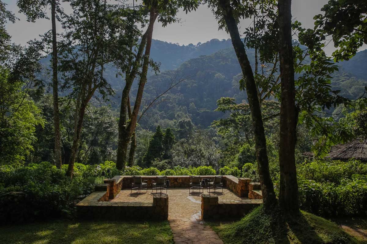 Bwindi Lodge – Bild 3