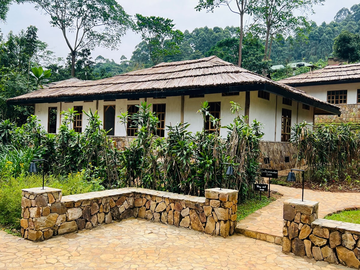 Bwindi Lodge – Bild 4