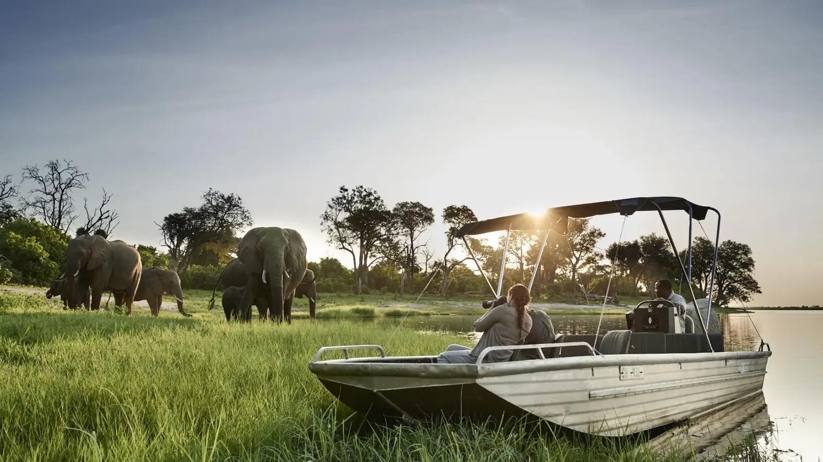 Sanctuary Chobe Chilwero – Bild 2
