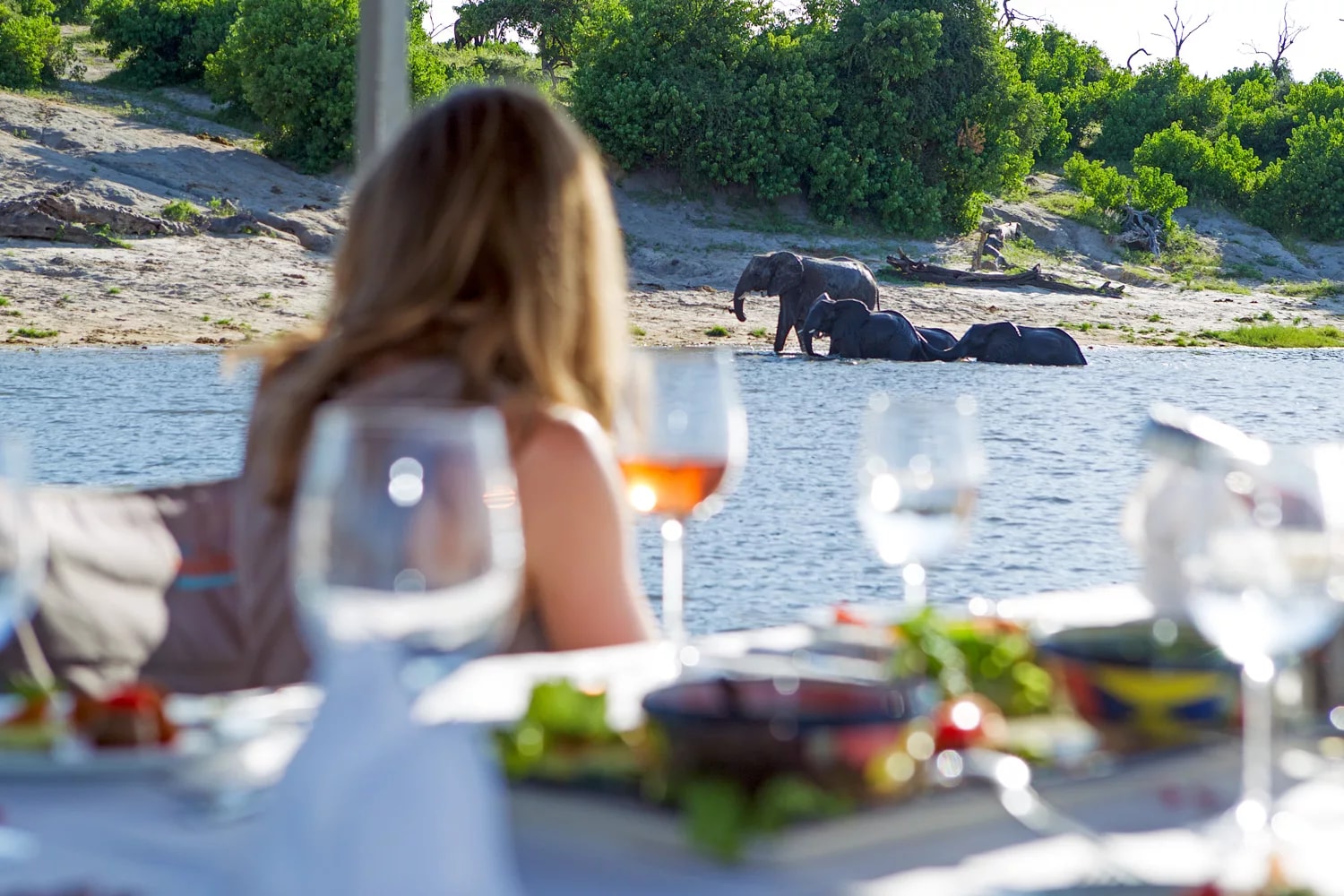 Chobe Game Lodge