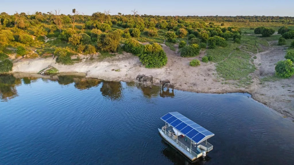Chobe Game Lodge – Bild 8
