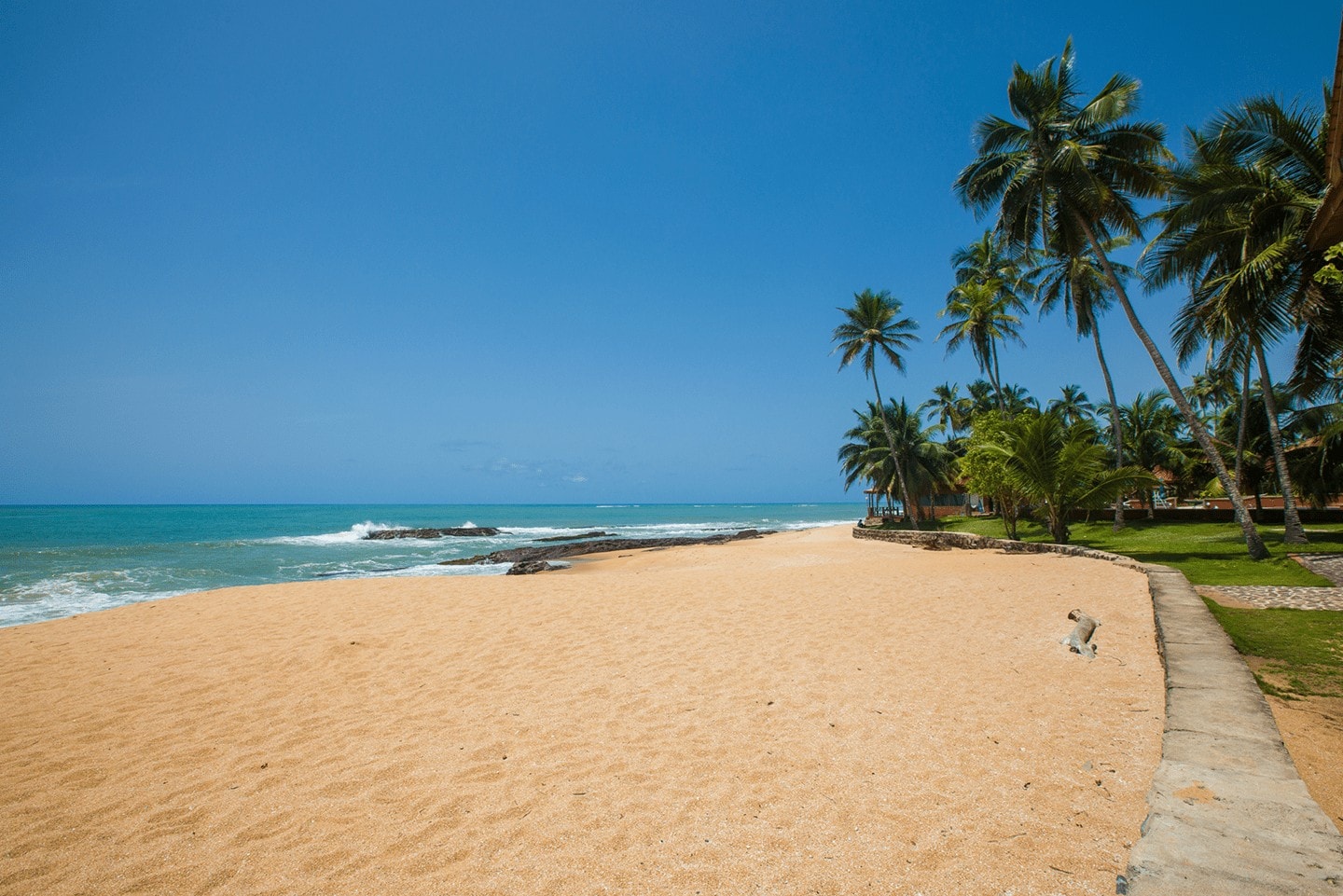 Coconut Grove Beach Resort – Bild 8