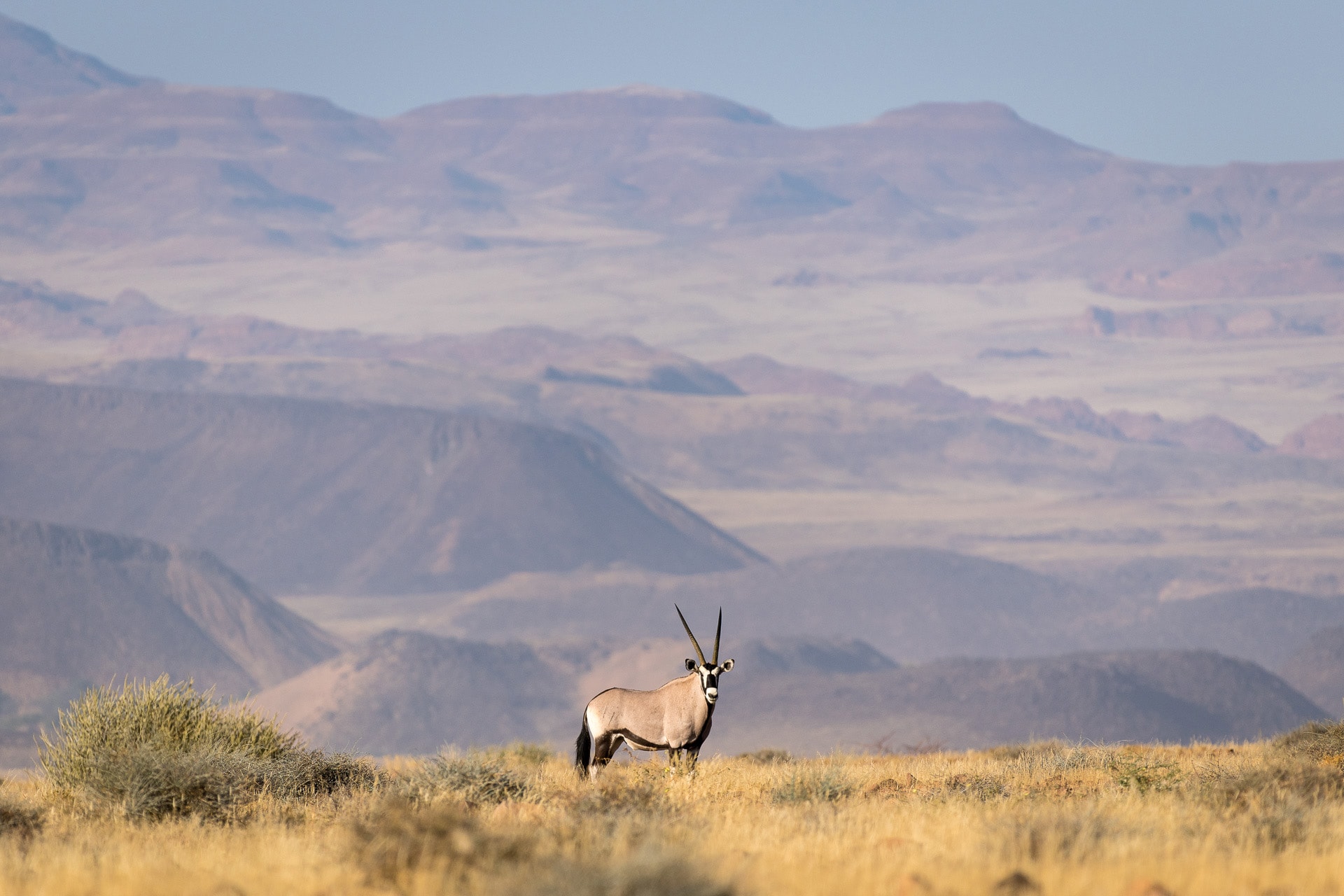 Damaraland Camp – Bild 4